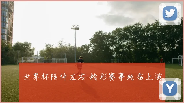 世界杯陪伴左右 精彩赛事轮番上演